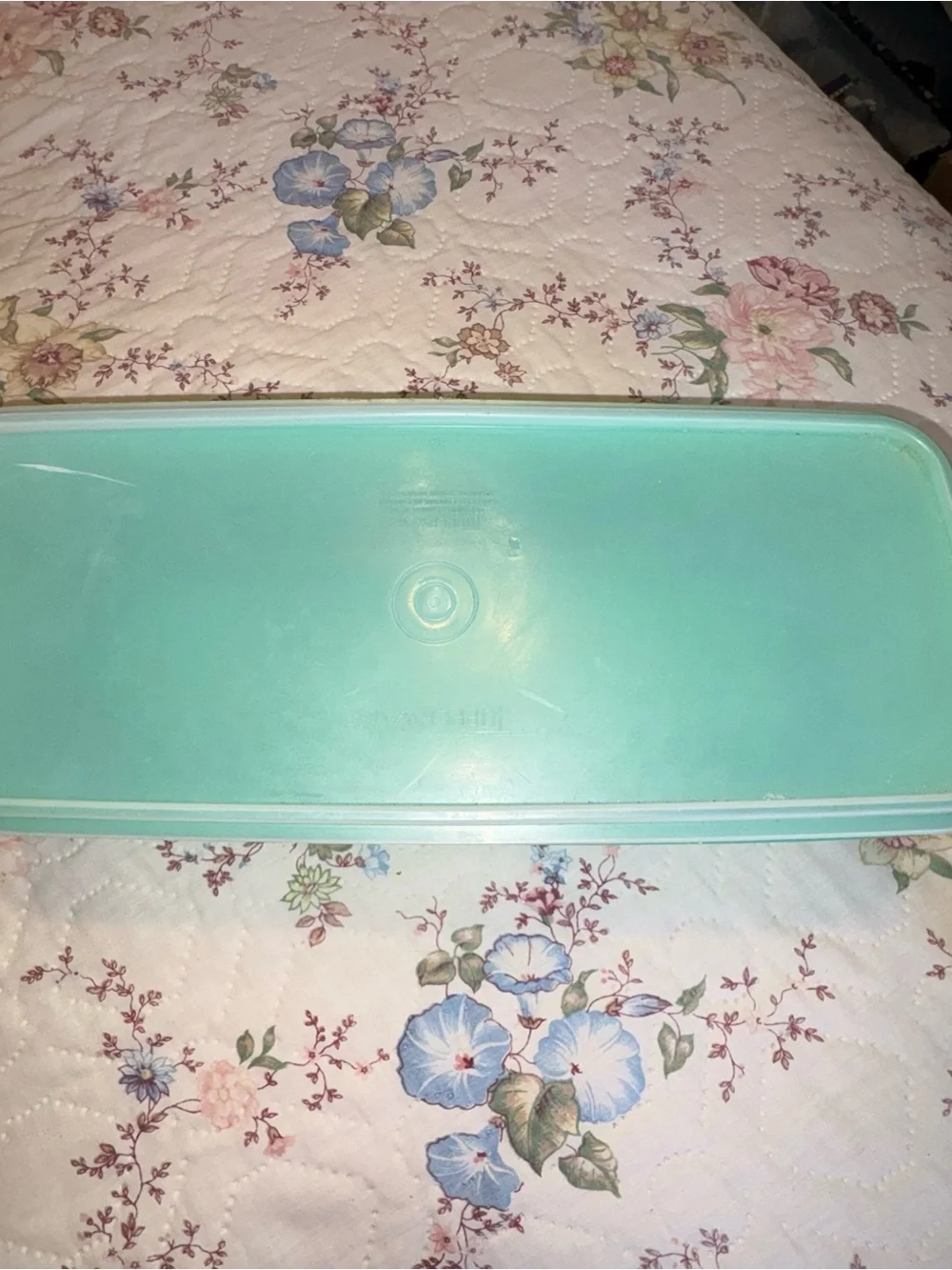 Tupperware sturdy container